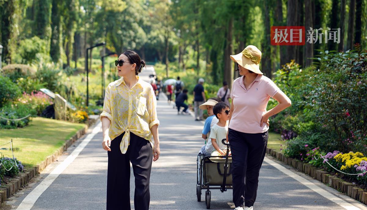 星空娱乐登陆网址